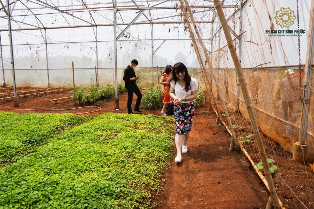 Felicia City Bình Phước