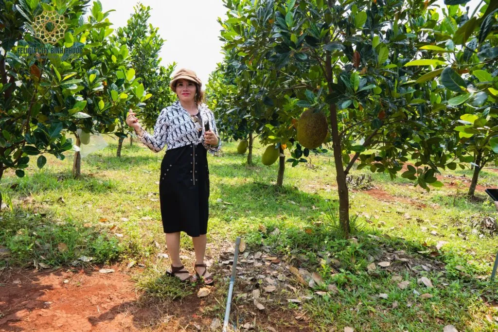 Felicia City Bình Phước