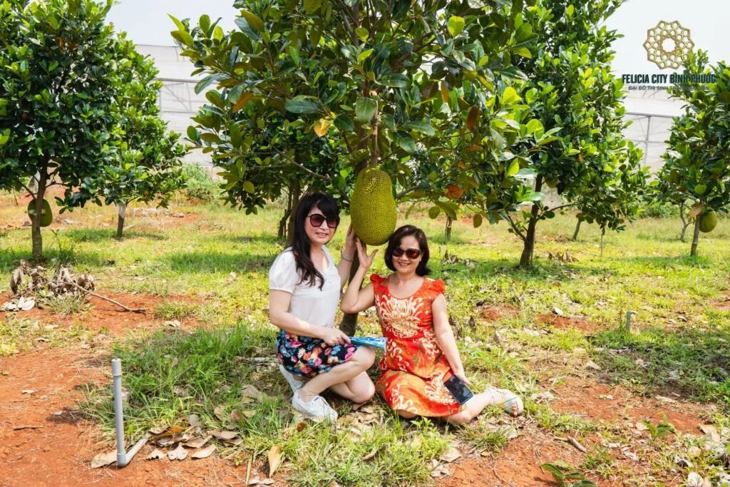 Felicia City Bình Phước