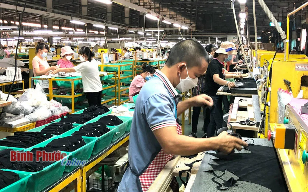 Bình Phước: 13/16 khoản thu thuế vượt mức 75% dự toán
